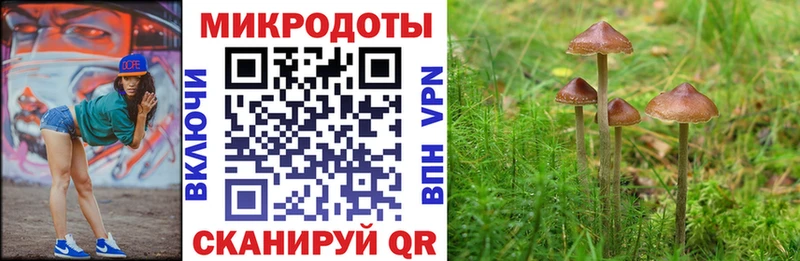 наркотики Югорск Псилоцибиновые грибы MAGIC MUSHROOMS